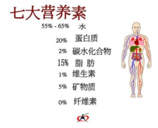 精鉴七大营养素的概念及其功效作用