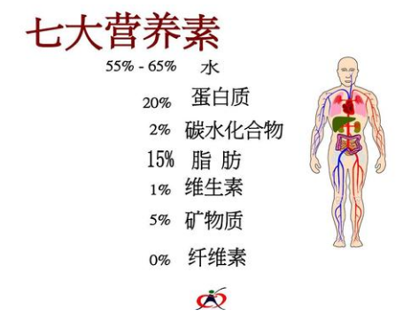 七大营养素