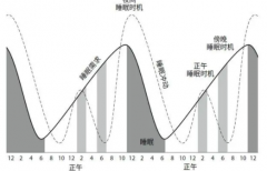 睡眠状态分为哪些