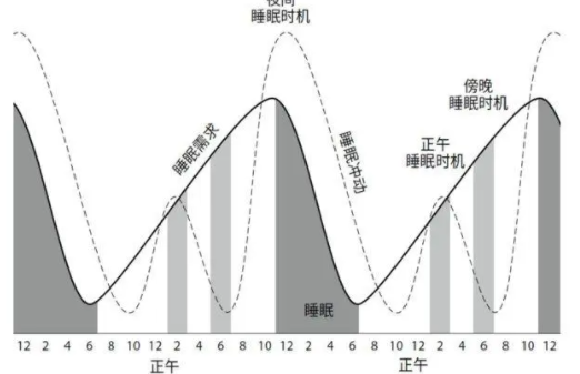 睡眠状态