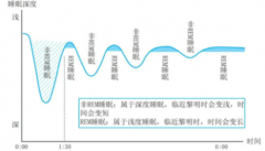 睡眠阶段分为几部分各有何特点