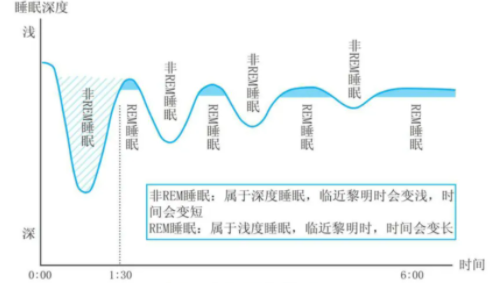 睡眠阶段