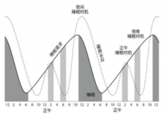 如何运用周期睡眠改善体质