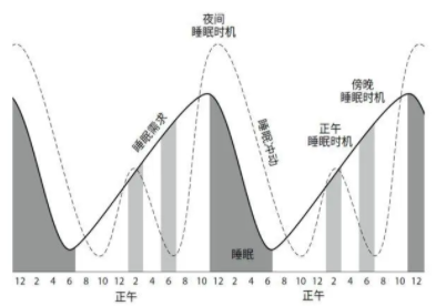 周期睡眠