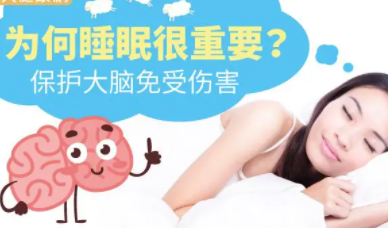 大脑控制睡眠