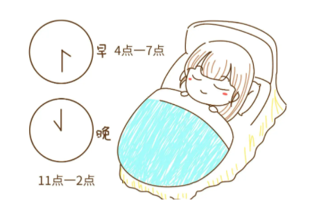 睡眠与智力