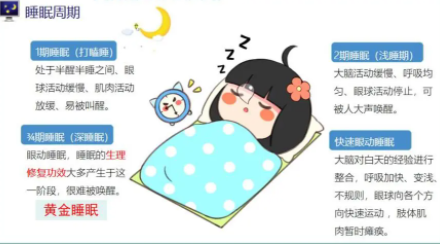 睡眠常识