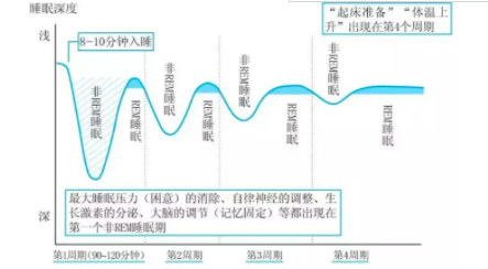 分段睡眠法