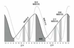 点段式睡眠中哪种