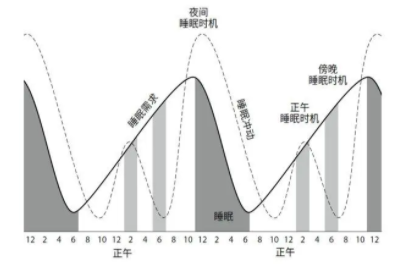 点段式睡眠